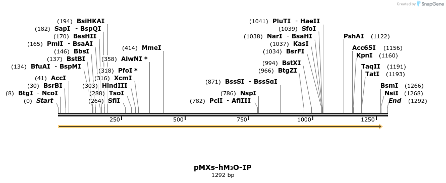 66009_map