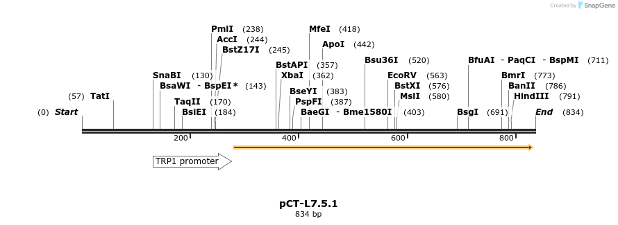 66115_map