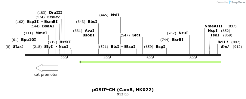 66117_map