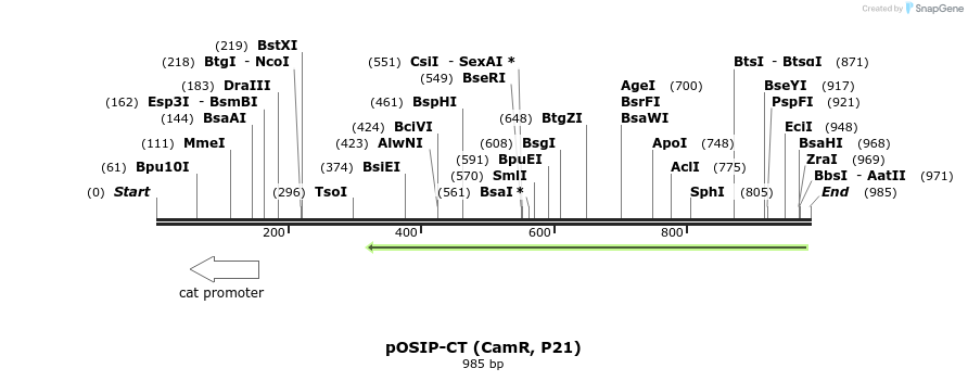 66123_map