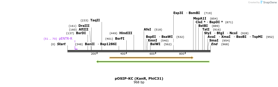 66125_map
