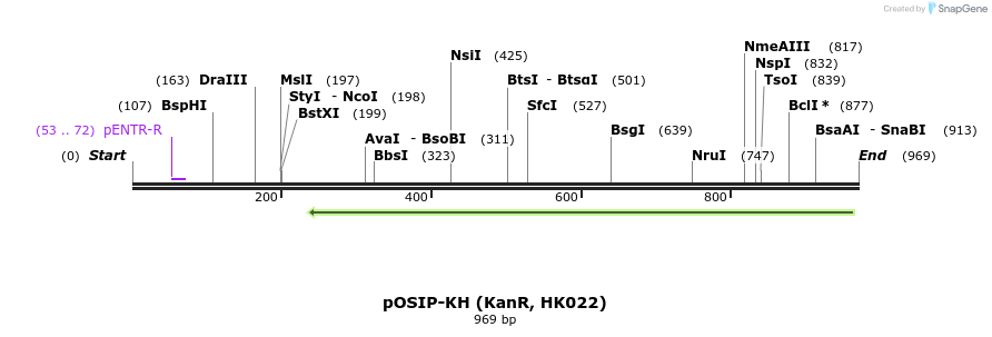 66127_map