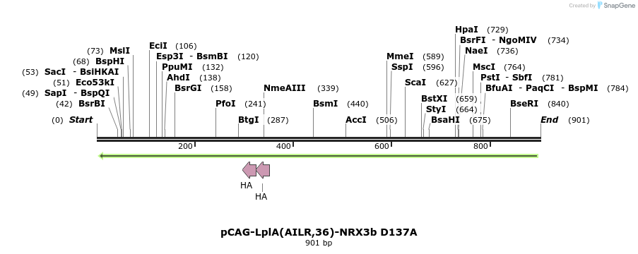 66130_map