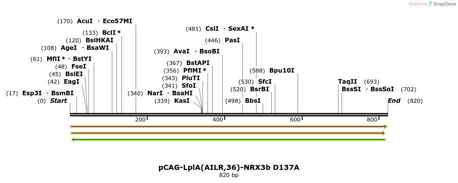 66131_map