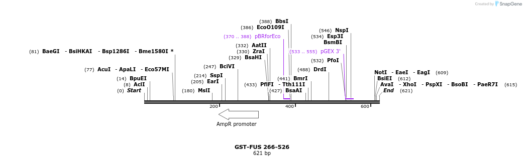 66133_map
