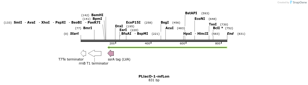 66137_map