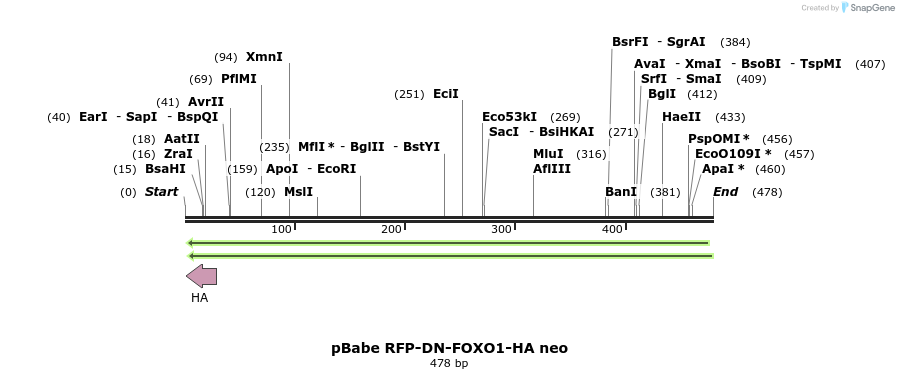 66142_map