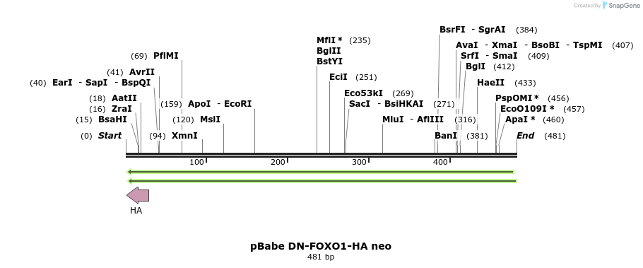 66145_map