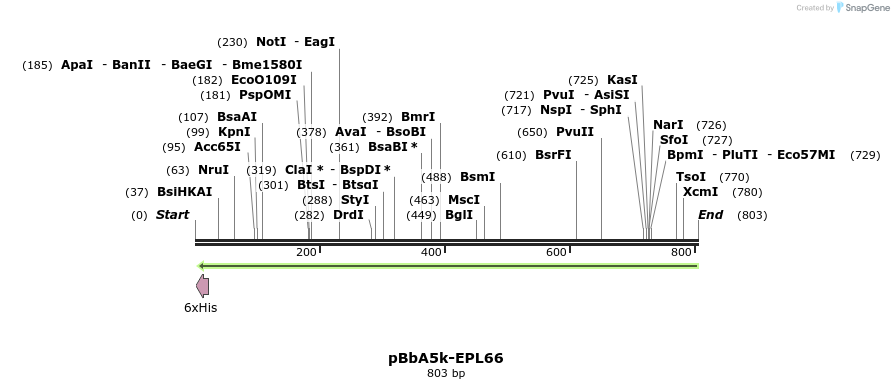 66148_map