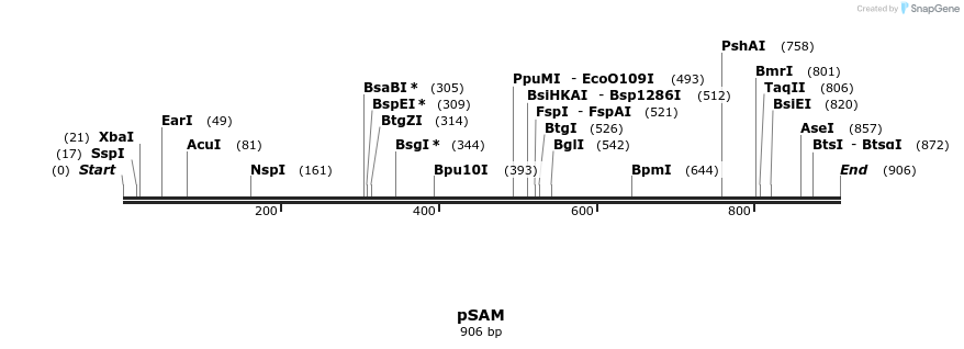 66149_map