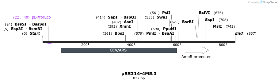 66156_map