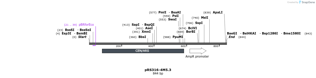 66158_map