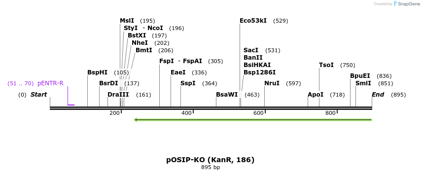 66159_map
