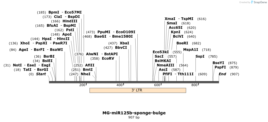 66162_map