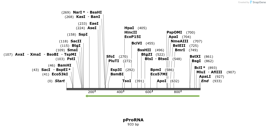 66164_map
