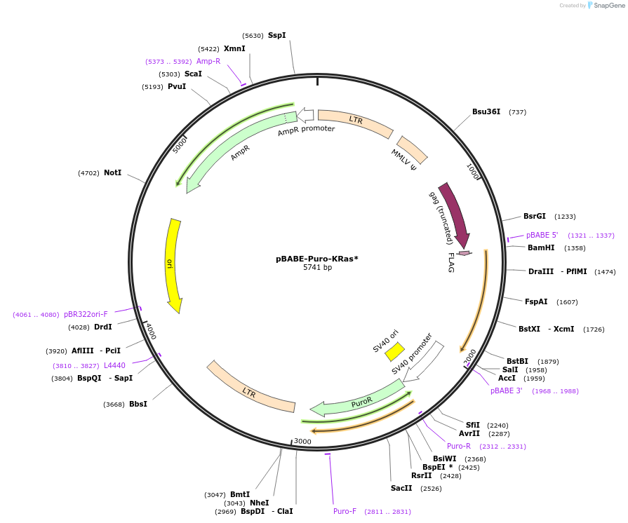 66169_map