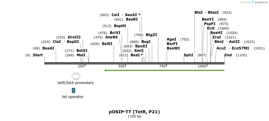 66174_map