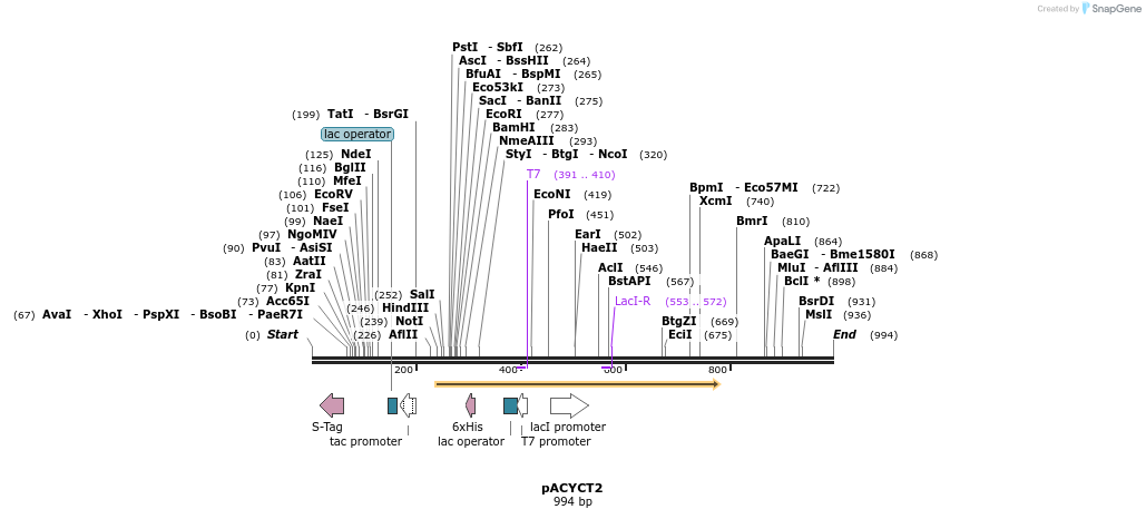 66181_map
