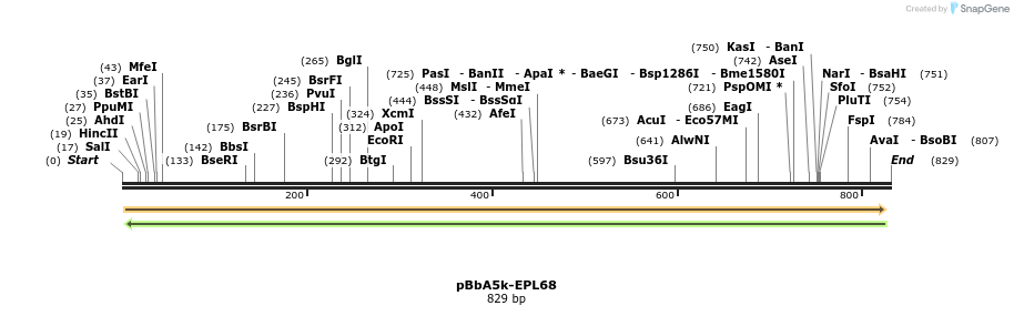 66182_map