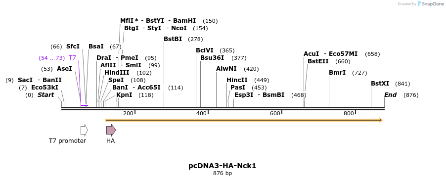 66183_map
