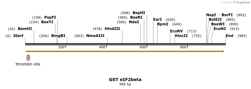 66184_map
