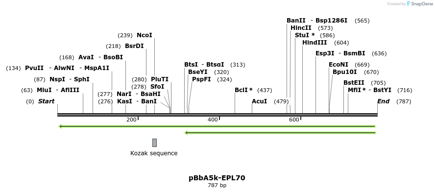 66187_map