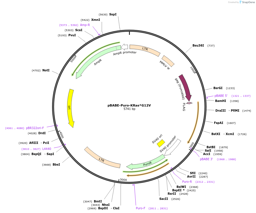 66191_map