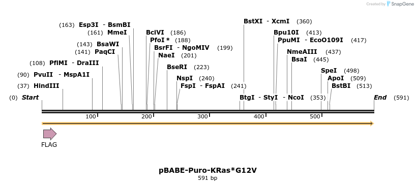 66192_map