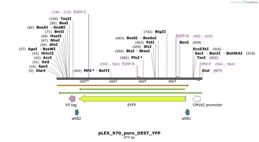 66193_map