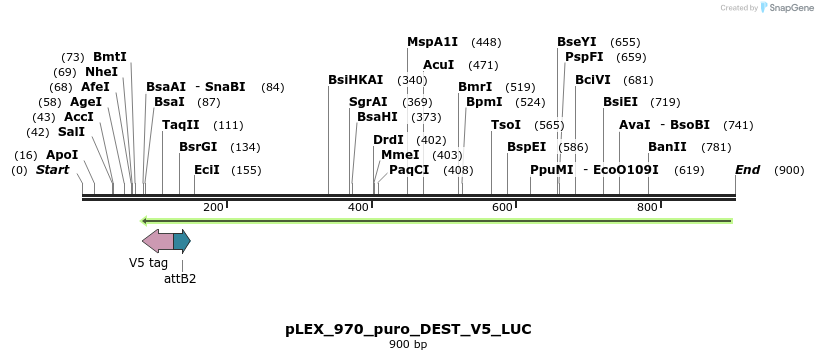 66195_map