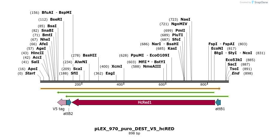 66197_map