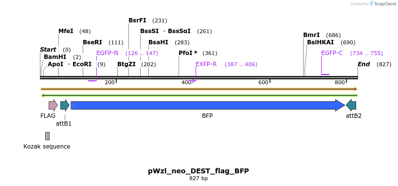 66198_map