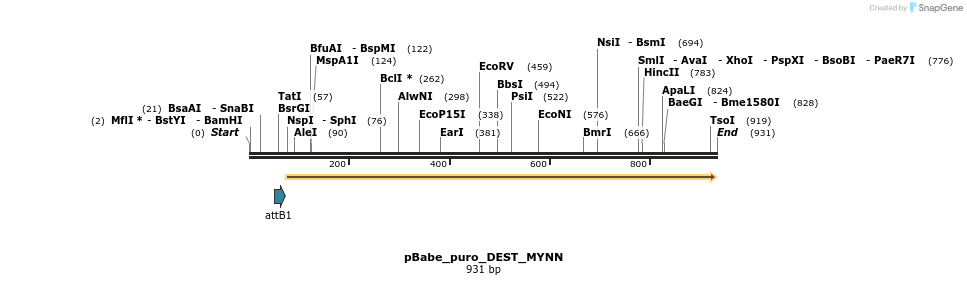 66199_map