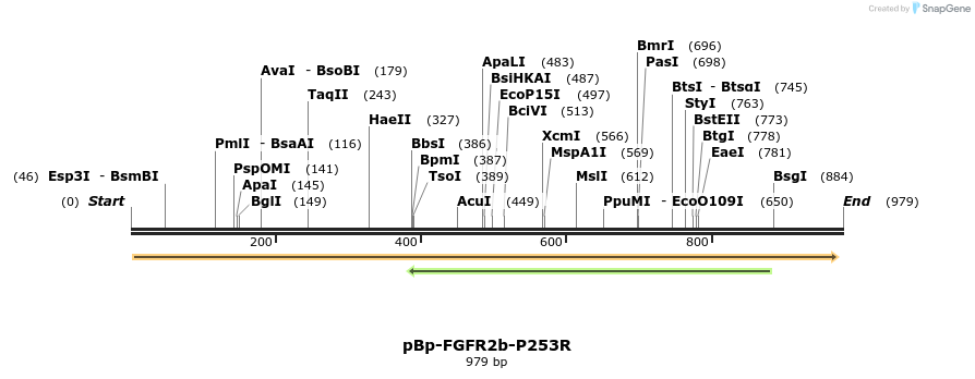 66202_map
