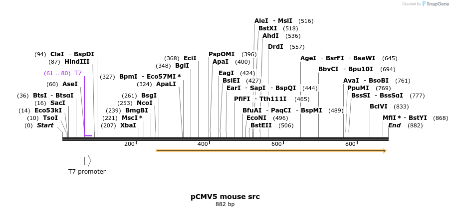 66203_map