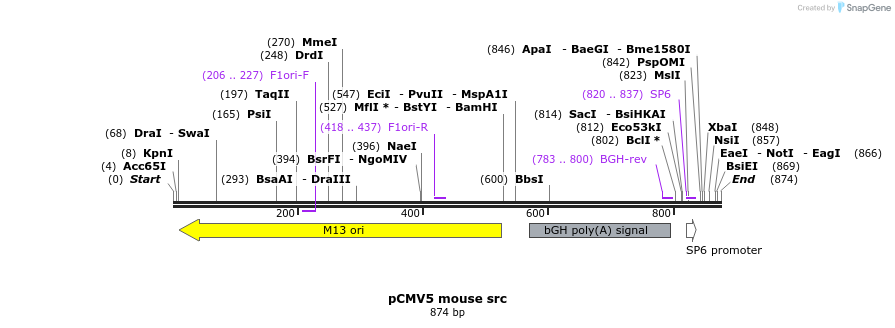 66204_map