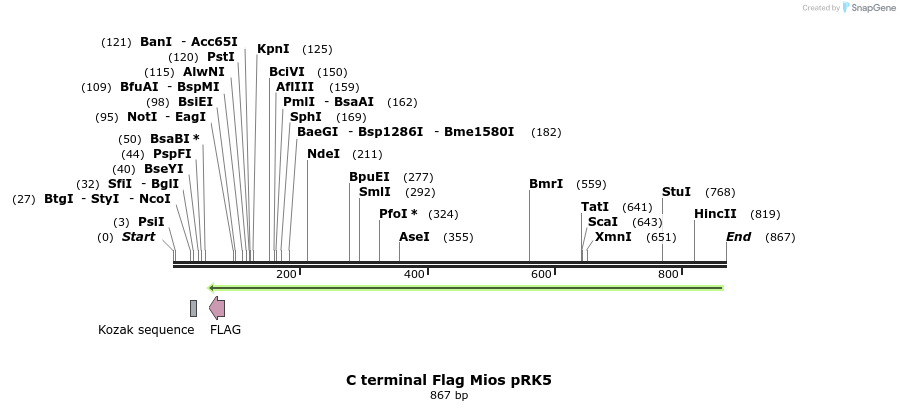 66214_map