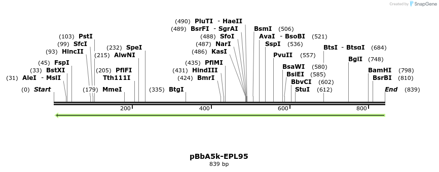 66226_map