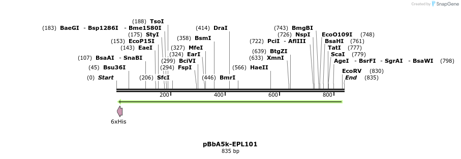 66230_map