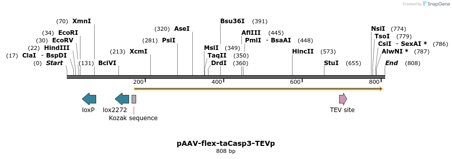 66242_map