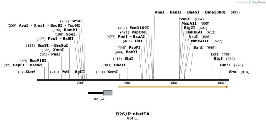 66244_map
