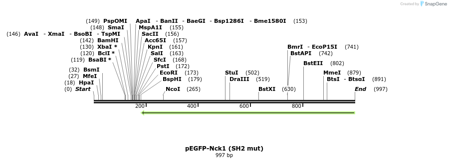 66248_map