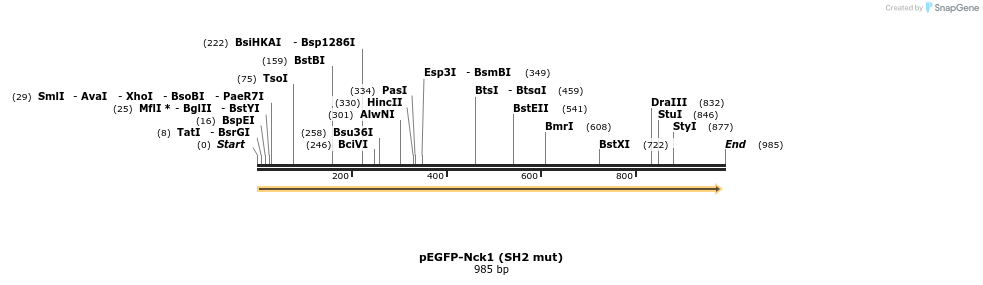 66249_map