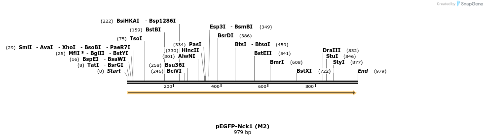 66251_map