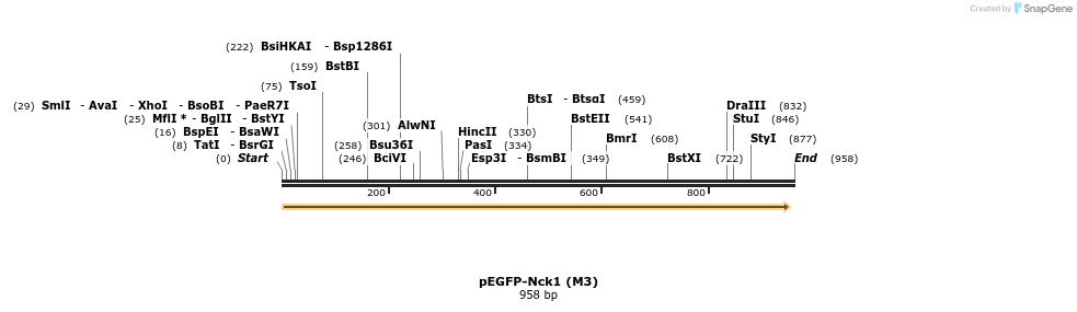 66252_map