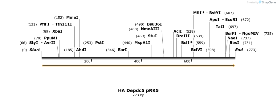 66255_map