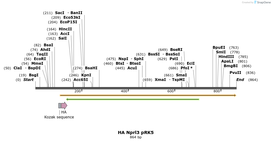 66257_map