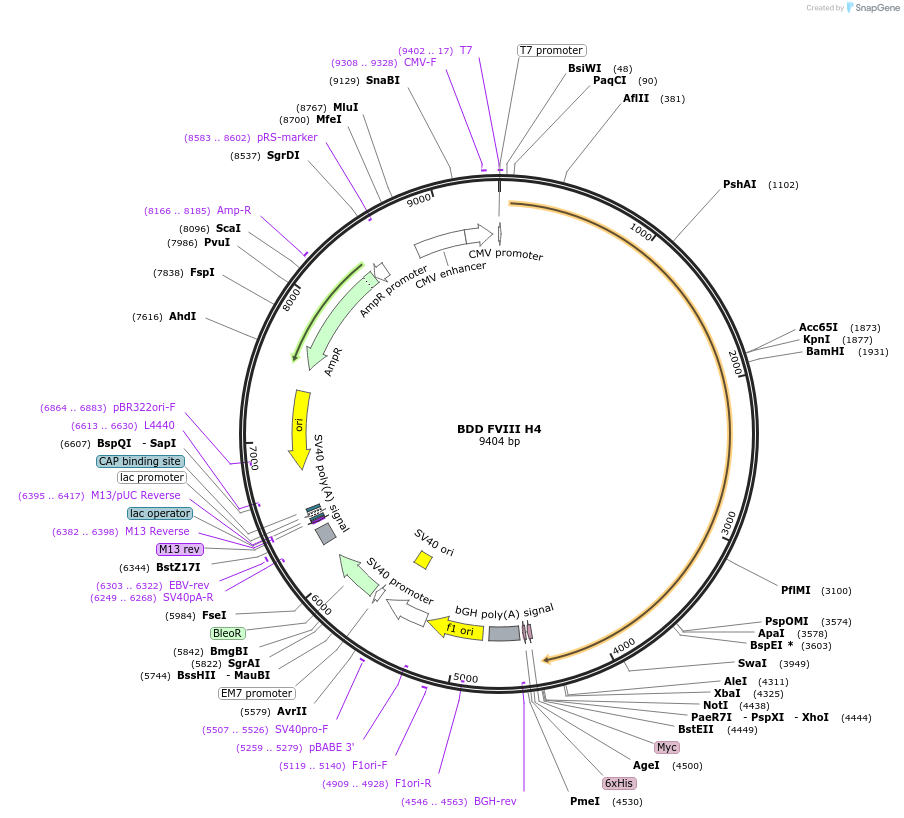 66260_map