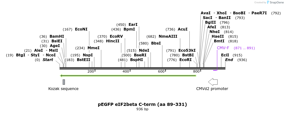 66261_map
