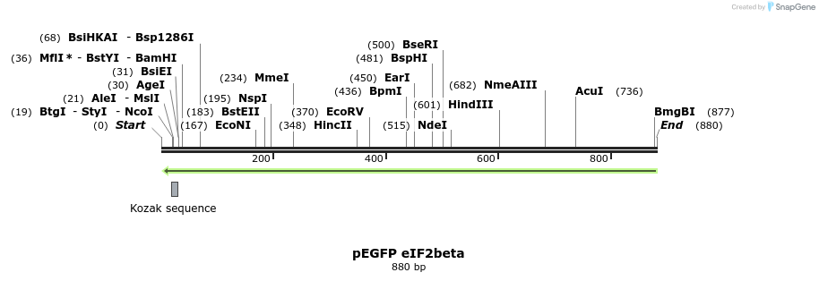 66262_map